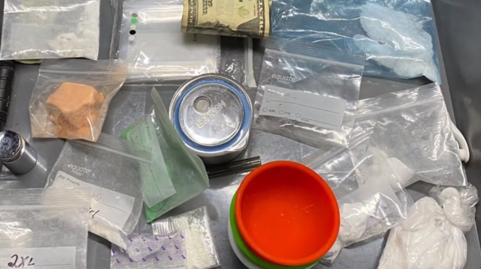 Placer County theft arrest.PNG