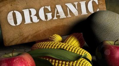 Coroner: Leader of Large Organic Food Scheme Dies by Suicide