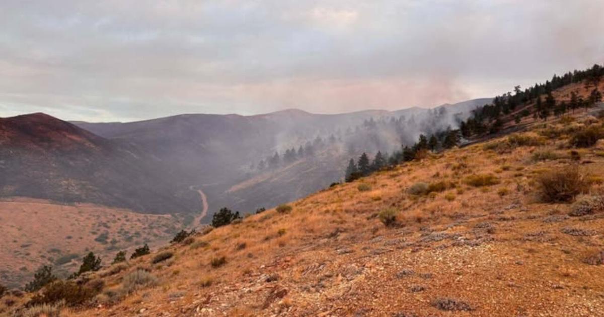 Hawk Fire update: Some evacuations downgraded as North Valleys residents await answers - KTVN