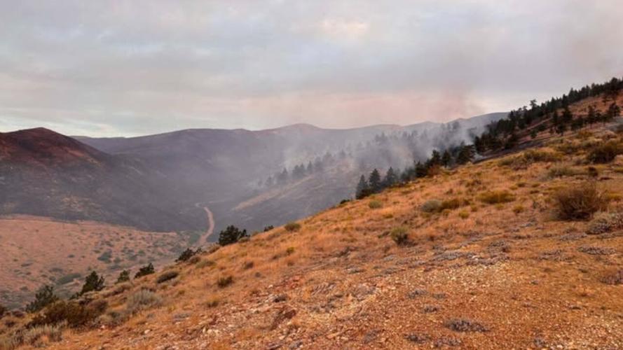 Hawk Fire Web image .jpg