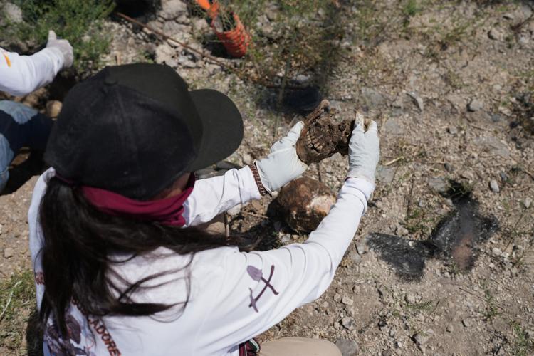 Mexico Missing People