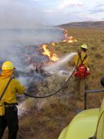 Federal Firefighting Agencies Recruit  Summer Firefighters for Northeast Nevada