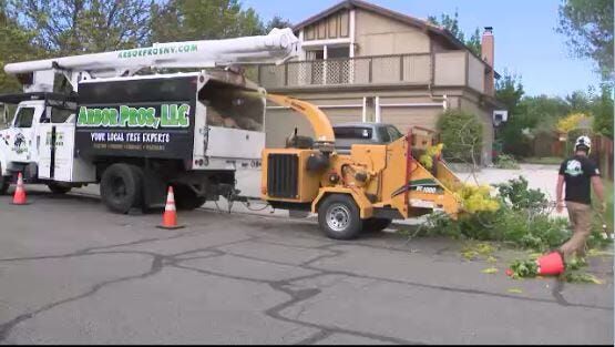 Local Arborist Service Hiring Amid Pandemic