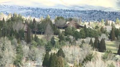 More Coyotes Spotted in Reno Neighborhoods