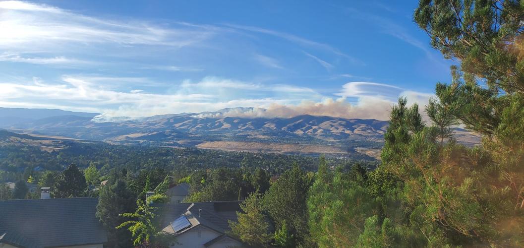 Viewer Submission - Hawk Fire - Nathan Mills 5.jpg