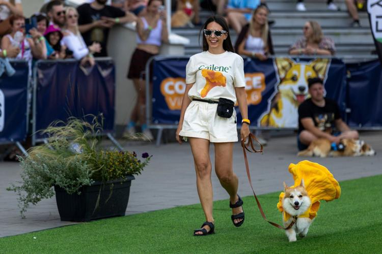 Lithuania Corgi Race