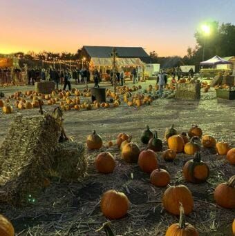 Ferrari Farms Fall Festival Now Open Through October