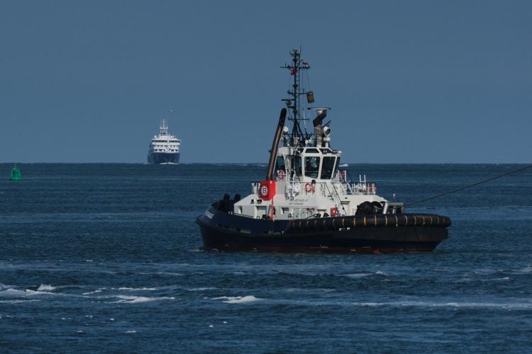 Netherlands Hantavirus Ship
