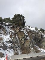 NDOT Advises of Traffic Lane Shifts on Geiger Grade