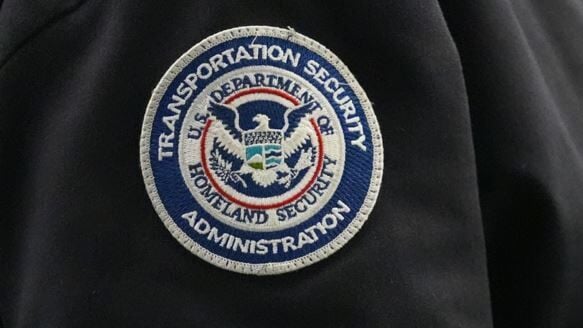 Congress Homeland Security Air Travel