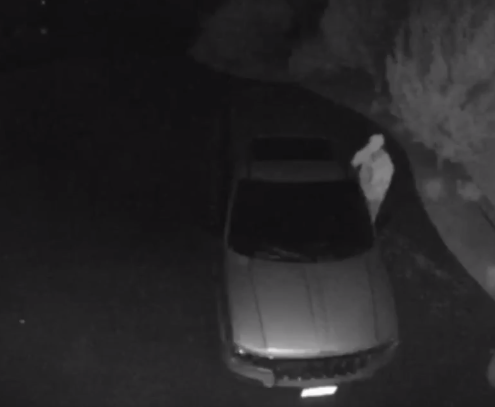 WCSO Asking for Help Identifying Vehicle Burglary Suspect