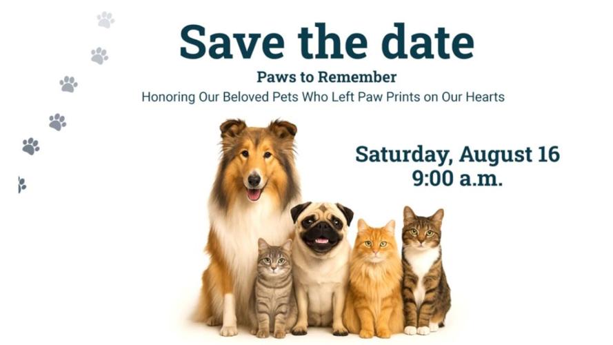 Pet memorial at Hidden Valley Park