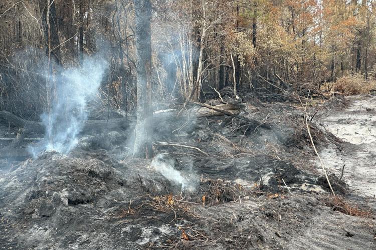 US Wildfires
