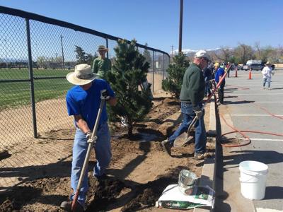 Sparks and Rotary Groups Plant 30 Trees