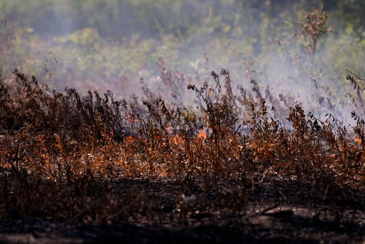US Wildfires