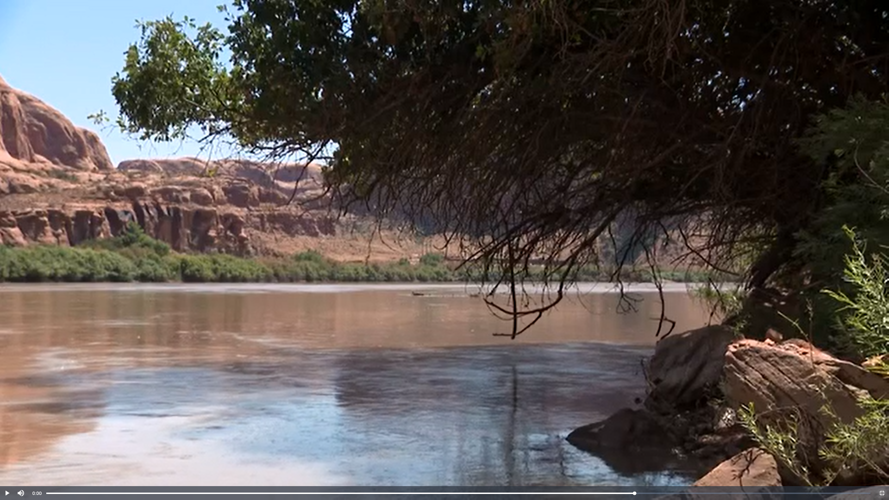 Colorado River water