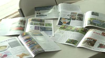 Reno's Neighborhood Magazine Trend: Free and Familiar