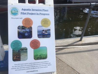 New Technology Combats Invasive Weeds in Lake Tahoe