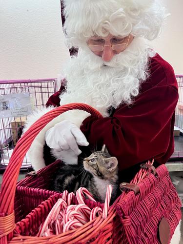 santa humane society.jpg