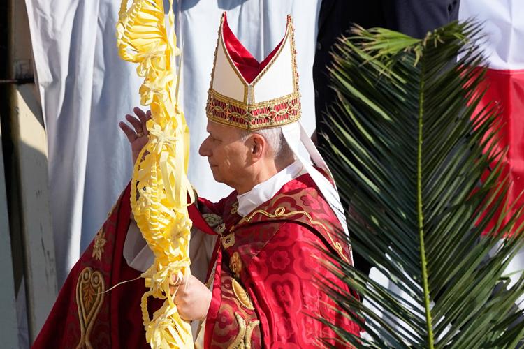 Vatican Pope Palm Sunday