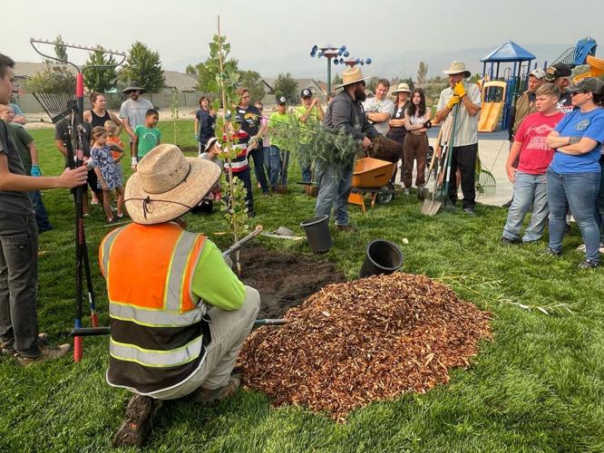Volunteers Plant 60 Trees at Horizon View Park