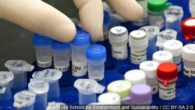 AP: DOJ Takes Step to Require Asylum-Seekers' DNA