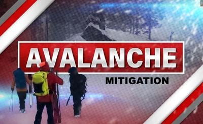 AVALANCHE MITIGATION.jpg
