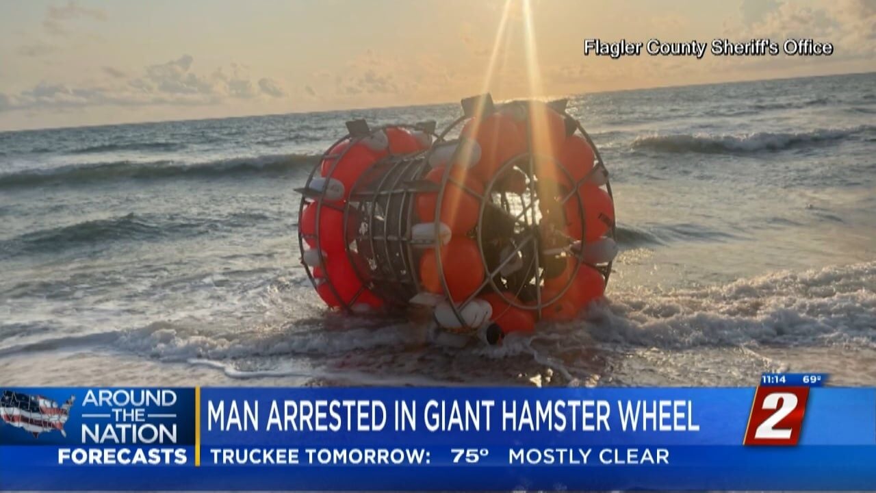 Florida Man Tries to Cross Ocean in Hamster Wheel