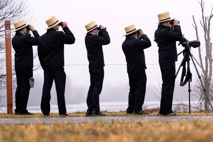 Amish Music