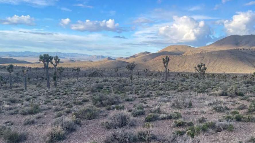 BLM approves gold mining project near Goldfield | Nevada News | 2news.com