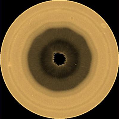 Saturn South Pole