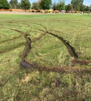 16-Year-Old Accused of Driving Through, Damaging Parks in Sparks