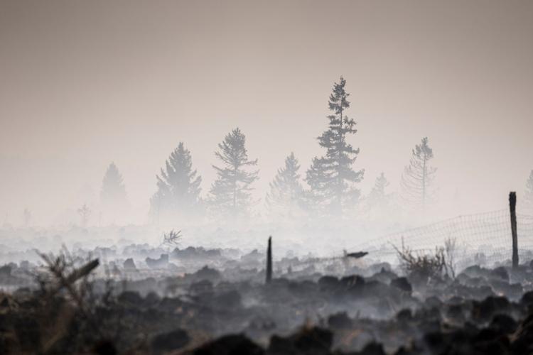 Belgium Wildfire