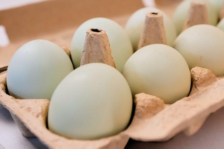 Egg Prices Settlement