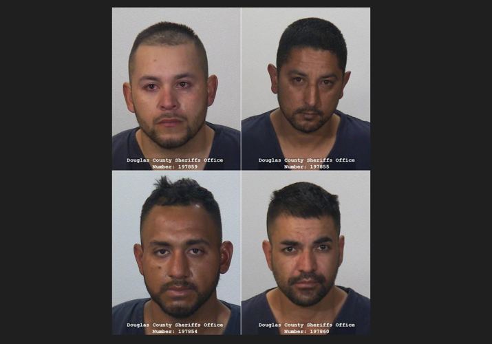 E-bike Theft Suspects