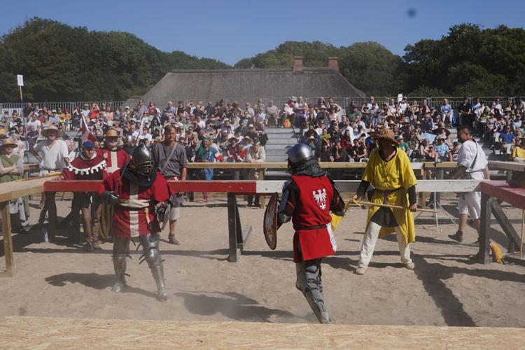 Denmark Medieval Combat