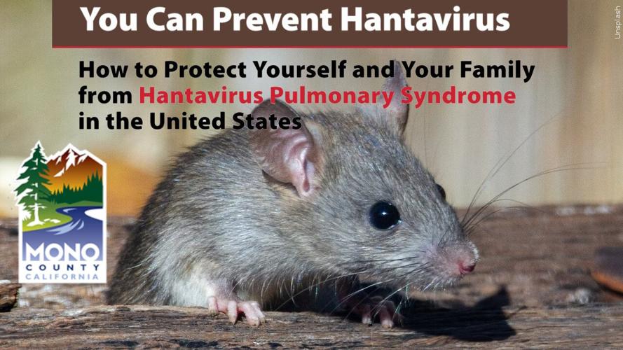 Mono County Hantavirus Panel