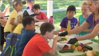 Local Chefs, Farmers Team Up For Urban Roots Summer Camp