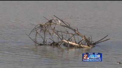 Mosquitoes Are Coming to Standing Water Near You