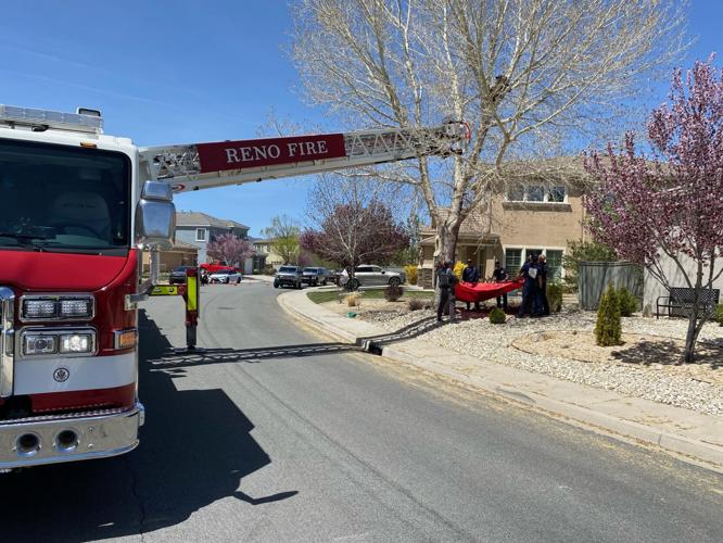 RFD helps with bear in tree