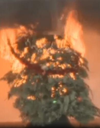 Christmas Fire Prevention Tips