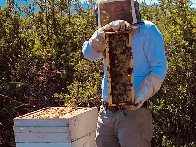 Bee Keeper