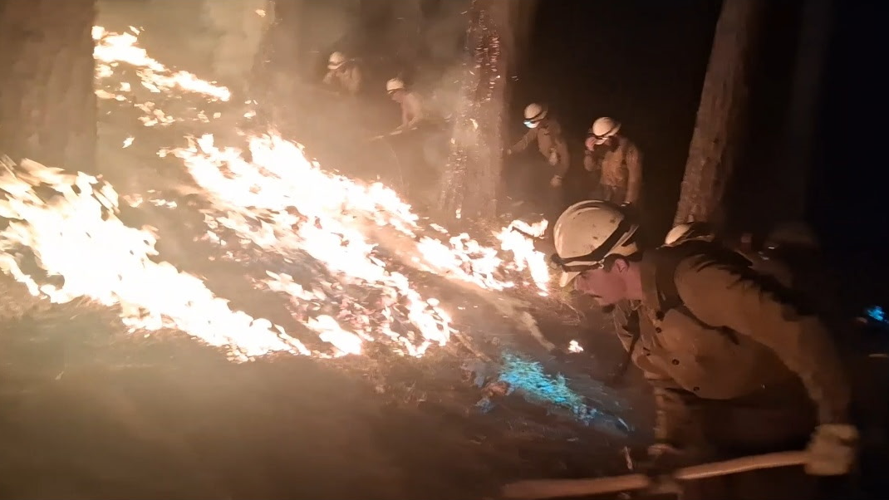 Plumas National forest fire fight
