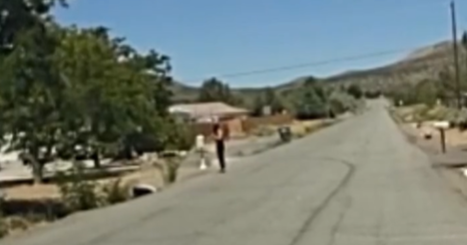 Assault News Image