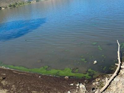Washoe Lake, July 2026