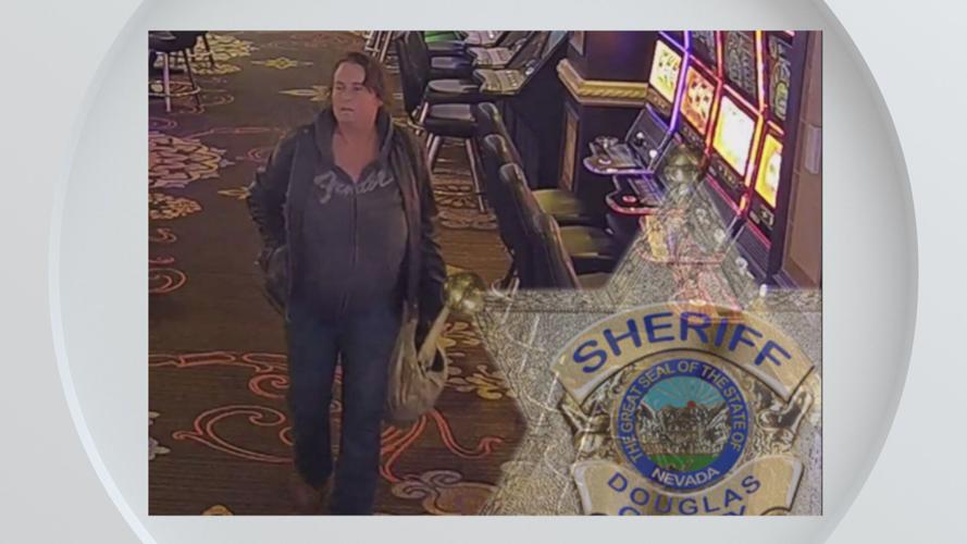 DCSO burglary suspect
