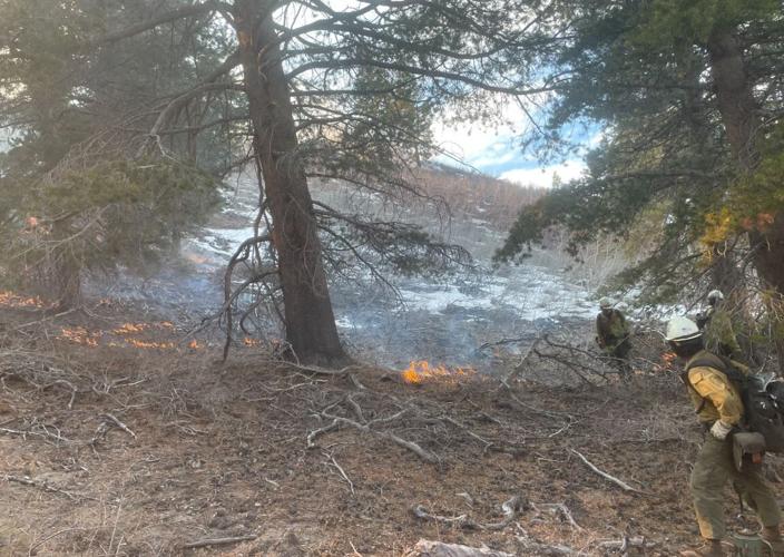 Sage Fire, Forest Service