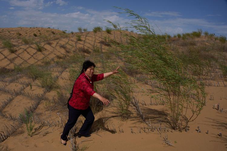 China Desert Control