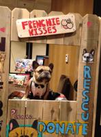 Heels & Hounds Event Raises Money For Homeless Pets