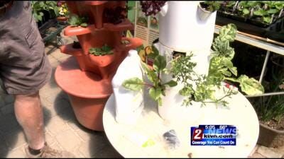 Garden Business in Full Bloom